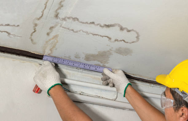 Reliable Water Damage Repair contractor in Fairview Heights, IL by Hirex Water Damage